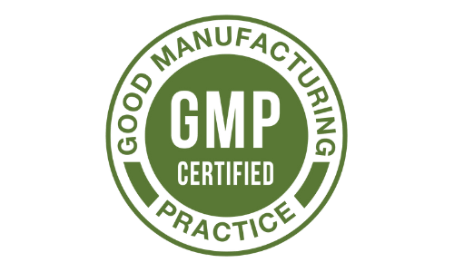 Java Brain GMP